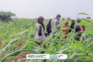 agricultural pest detection and prevention